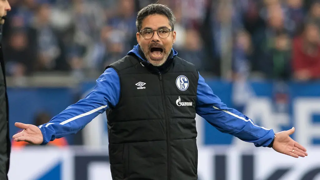 f8b2fac6c318d565c7e7ef00c0bf5eea