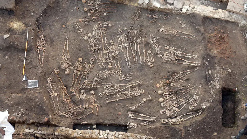 631987e6df770a971ec92ce681a872ef