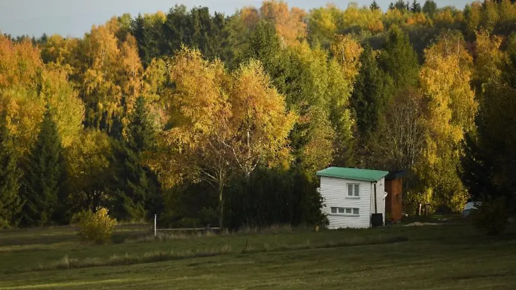 Ein-Tiny-House-des-Tiny-House-Village-ist-zwischen-herbstlich-verfaerbten-Baeumen-zu-sehen