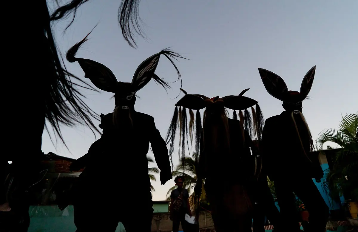 ff78a371c5e81320498ea9b5fd5fd29e