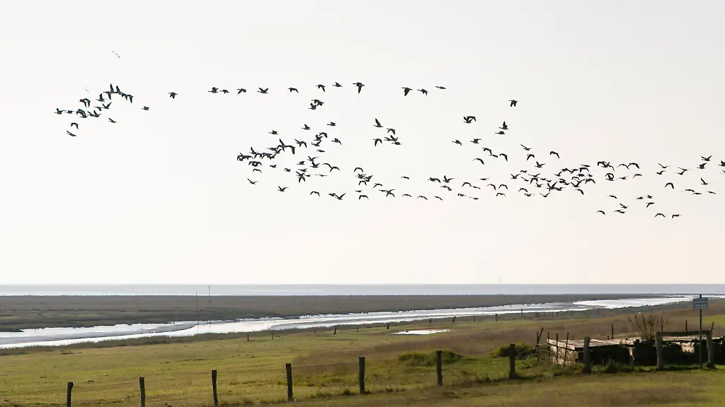 c4621532b1bcd73393b2337873026e7d