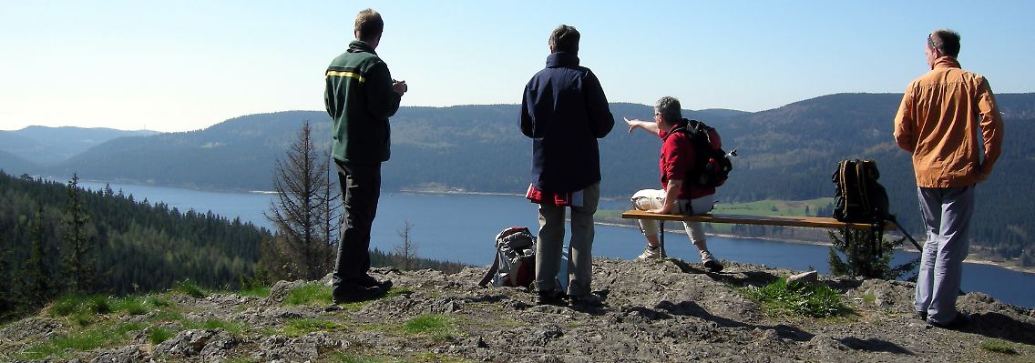 Blick auf den Schluchsee - Wanderer auf dem Schluchtensteig bekommen immer wieder tolle Ausblicke geboten.