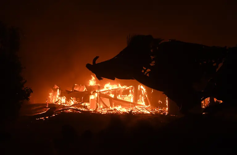 231008cd03e7c5c26392eeb49ff944fd