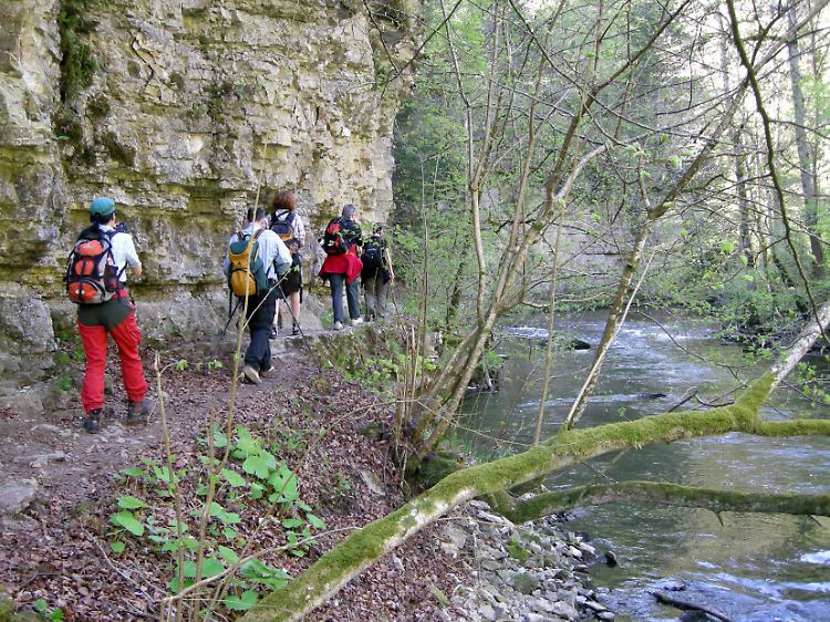 Wild- romantische Wutachschlucht: Schon seit 1939 ist sie Naturschutzgebiet. Botaniker haben dort 500 Schmetterlingsarten und rund 2800 Pflanzen wie Streifenfarn, Türkenbund und Silberblatt entdeckt.