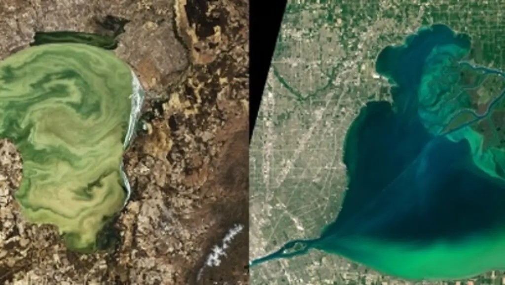 ACHTUNG-Frei-nur-im-Zusammenhang-mit-der-Berichterstattung-ueber-die-Studie