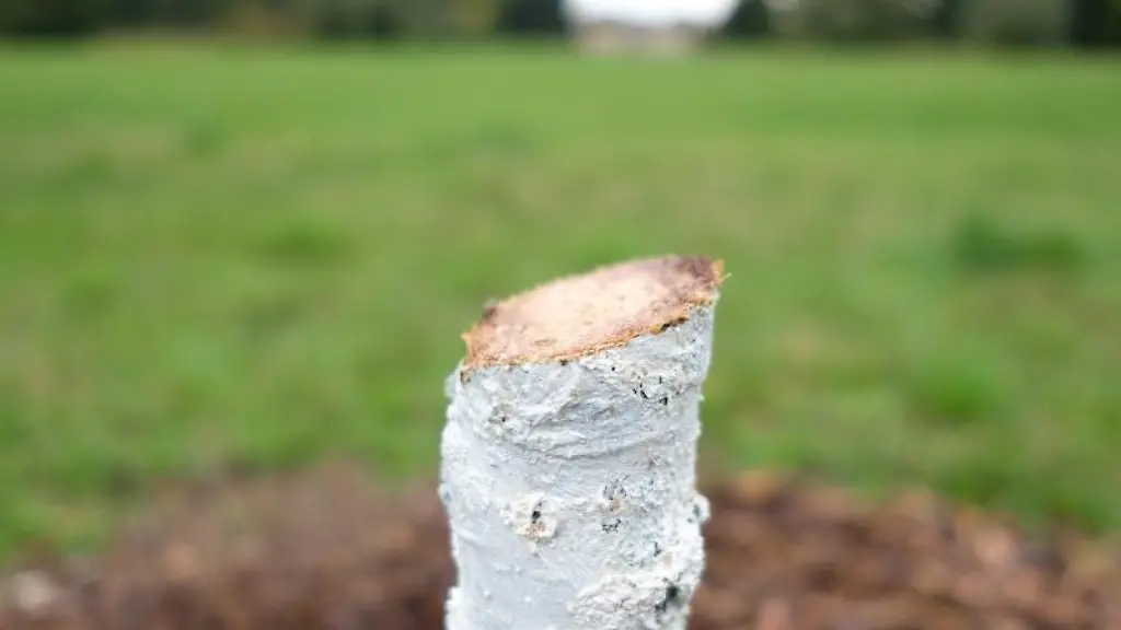 Er-war-Teil-des-Gedenkortes-fuer-Enver-Simsek-dem-ersten-NSU-Opfer-und-wurde-von-Unbekannten-abgesaegt