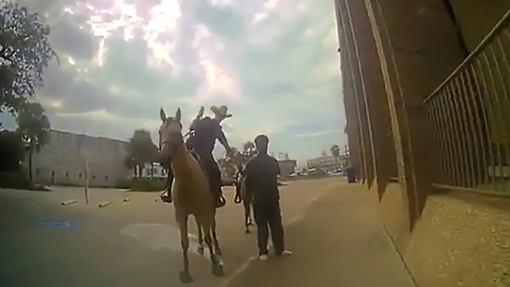 74762d97d3d1f8705630323da2430c29