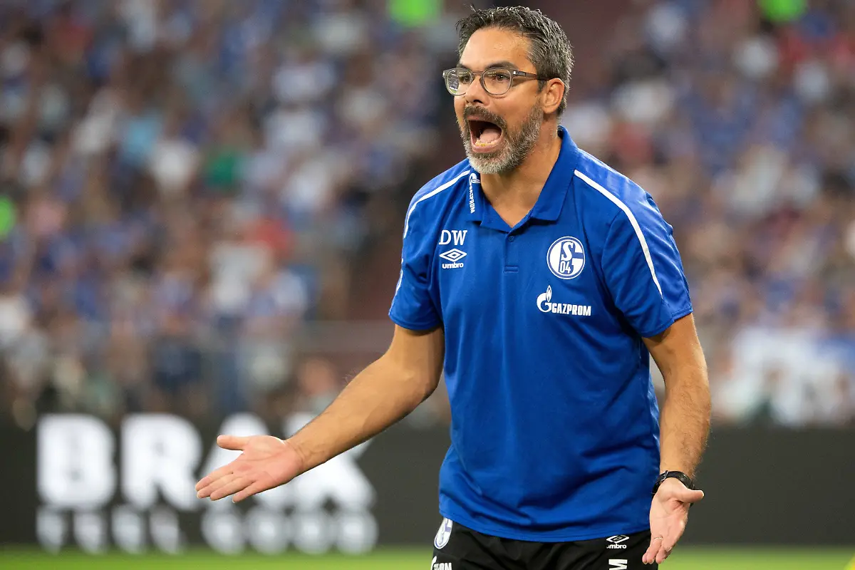 924cd42b4488626347feda36ef697f28