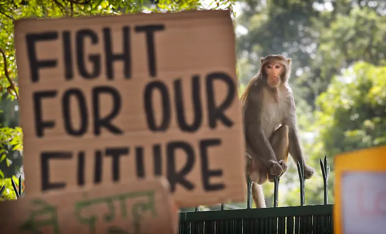 d15f9689ef3b466c14a4526ec8cf286b