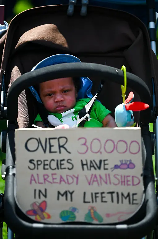 a09f6ea95020e3c44a97ce64575ae731