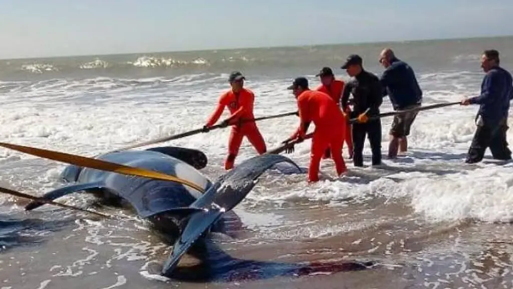 ddf9f8ec2a28a374655ef62ca23b5d84