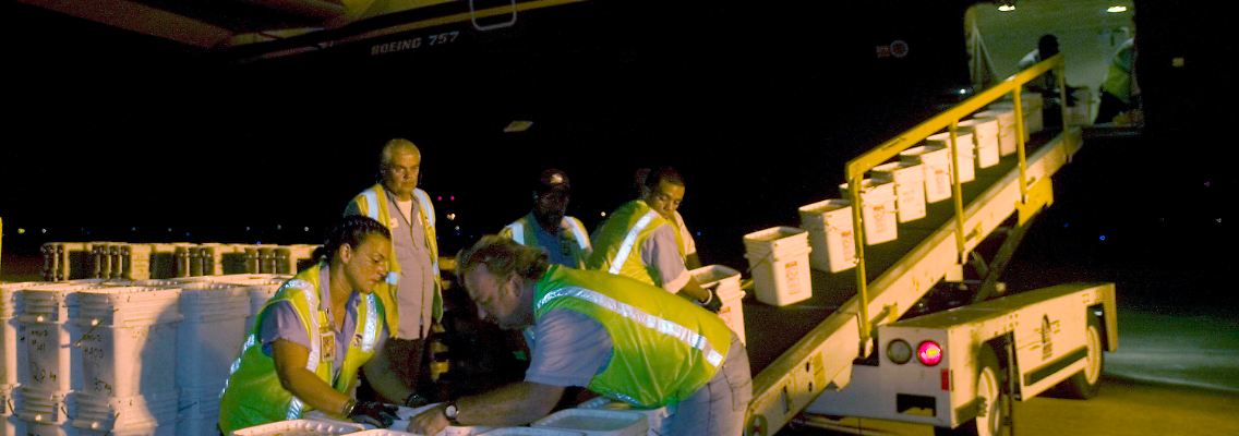 2007: Bei Nacht und Nebel bringen die Schatzsucher 17 Tonnen Gold- und Silbermünzen nach Florida.