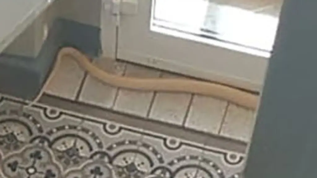 47bc11861ffd506e230c81e4cbfb0655