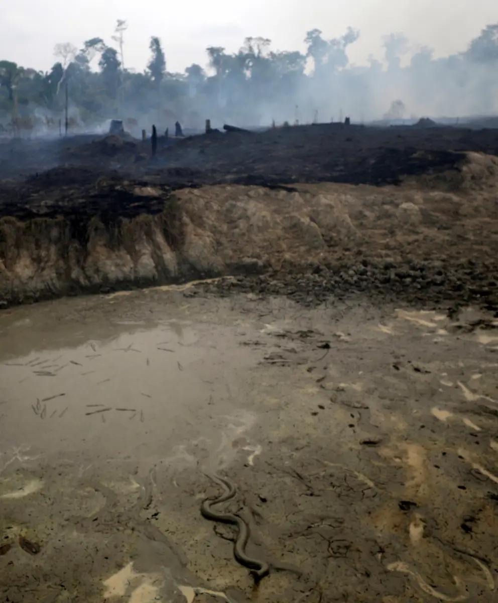 2784e0fbe0bf8f0520f17d497216401d