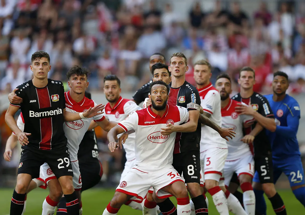 0c195b4bd1b6ad40c2700365c9ee073b