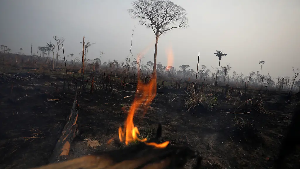 4b316d211b37d5dbfbbd14290c662e95