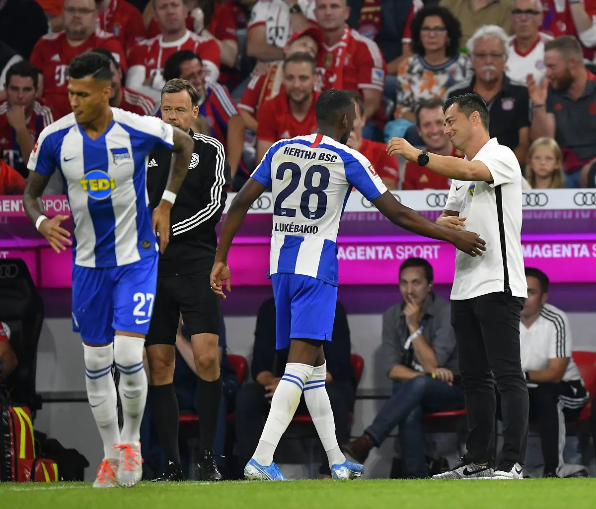 33ed8d0e5dfb75fa804daf713437c8c0