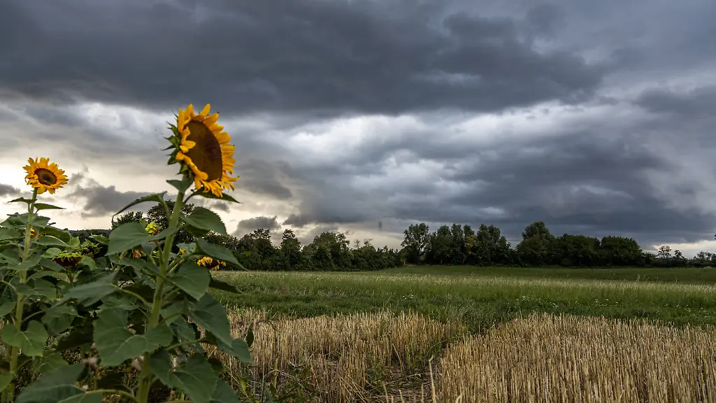 3309f577b4d4e5de974dbbcde2250e81