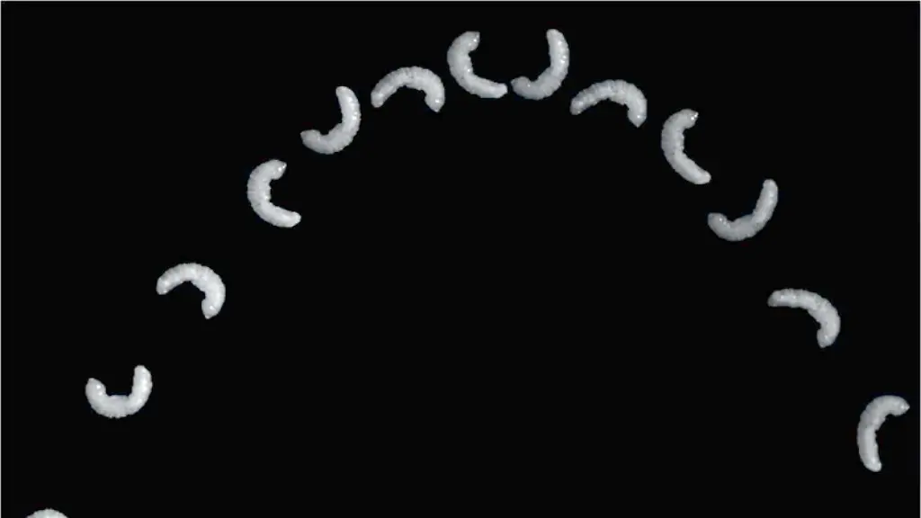 ACHTUNG-Nur-im-Zusammenhang-mit-der-aktuellen-Berichterstattung