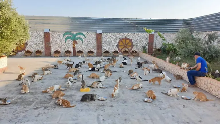 67536638-2516144958447738-2884910407233830912-n