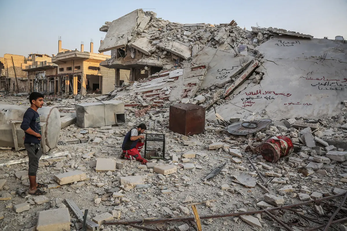 c27308aef755980c6cb0e12c813c4c99