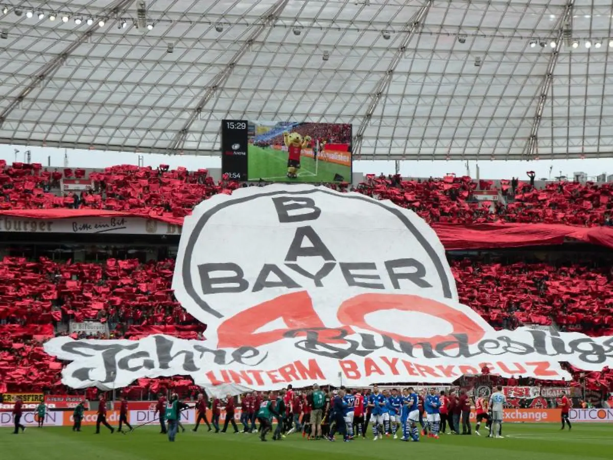 Das-Logo-von-Bayer-Leverkusen