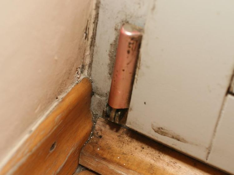 Schäden in der Wohnung, wie Wasser- oder Schuimmelflecke, müssen Mieter umgehend dem Vermieter mitteilen.