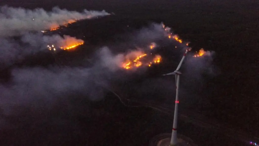 Eine-Rauchwolke-steigt-ueber-einem-Wald-bei-Jueterborg-auf