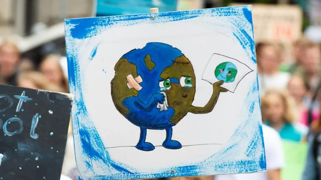 Ein-Demonstrant-geht-mit-einem-Plakat-mit-einer-gezeichneten-weinenden-Erde-durch-die-Stadt