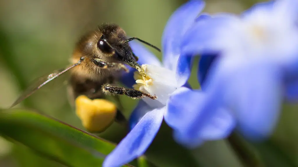 912286e0022705379e08fb33bddb41c8