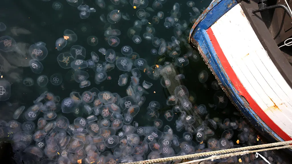 93d8f2b859804ded6f4b2df1a3952806