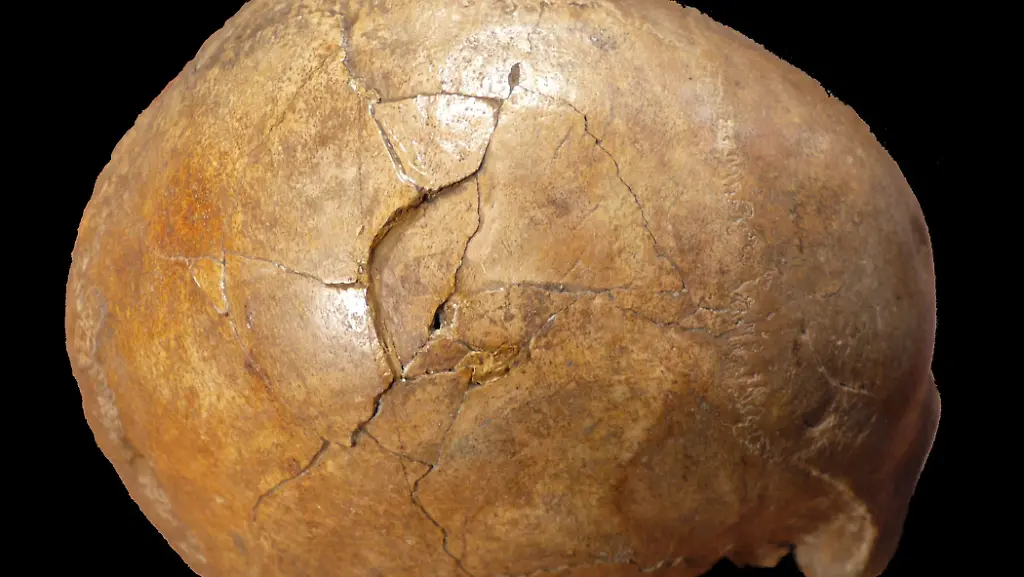 7ba1ff1b78f8ab4bdf0308e3fbf8ae3e