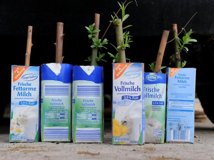 Selbstproduktion könnte Teile der Industrie ersetzen.