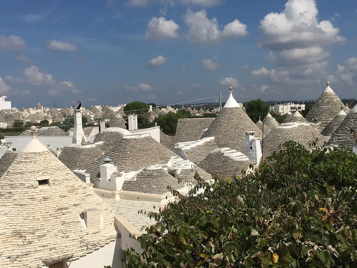 2-AlberobelloDa-echer