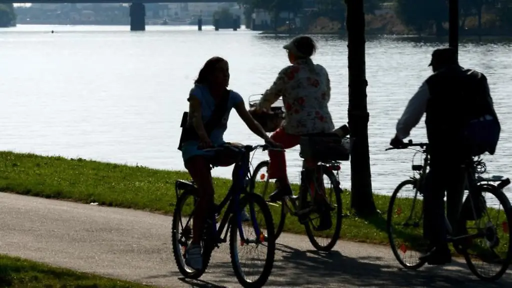 Radler-sind-am-Mainufer-auf-den-Main-Radweg-unterwegs