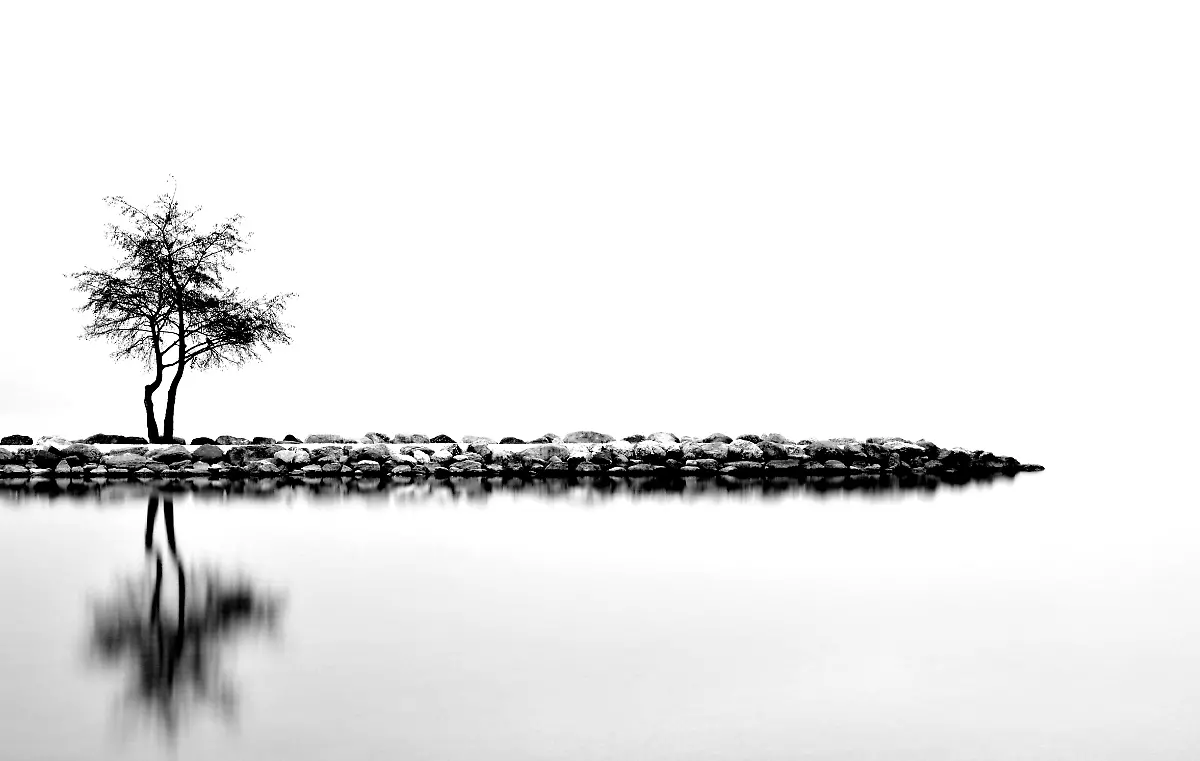 FR-DE-Landscapes-613634