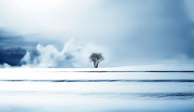 DE-DE-Landscapes-619132