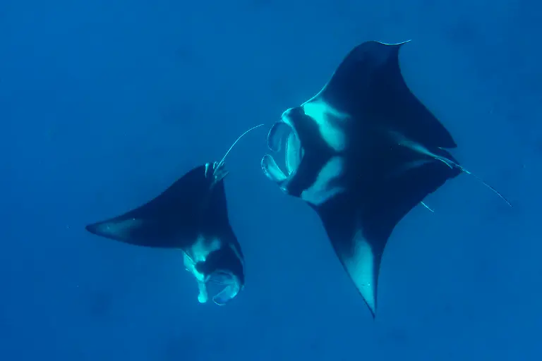 Bild-25-von-40-2019-04-13-011