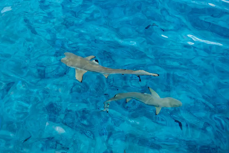 Bild-24-von-40-2019-04-13-012