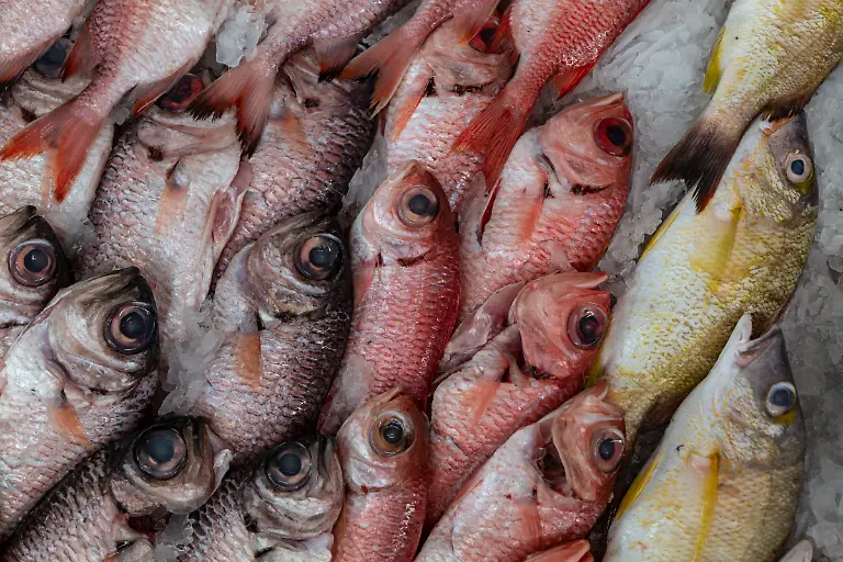 Bild-09-von-40-2019-04-11-103