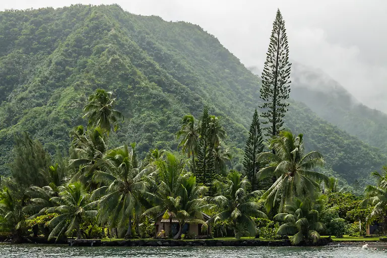 Bild-03-von-40-2019-04-10-092