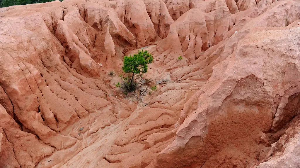 155dfc8b27693246998bb9f427934eb8