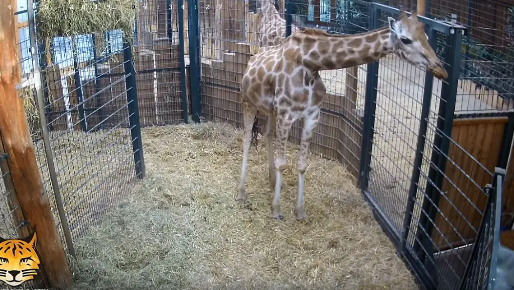 Screenshot-Zoo-Magdeburg