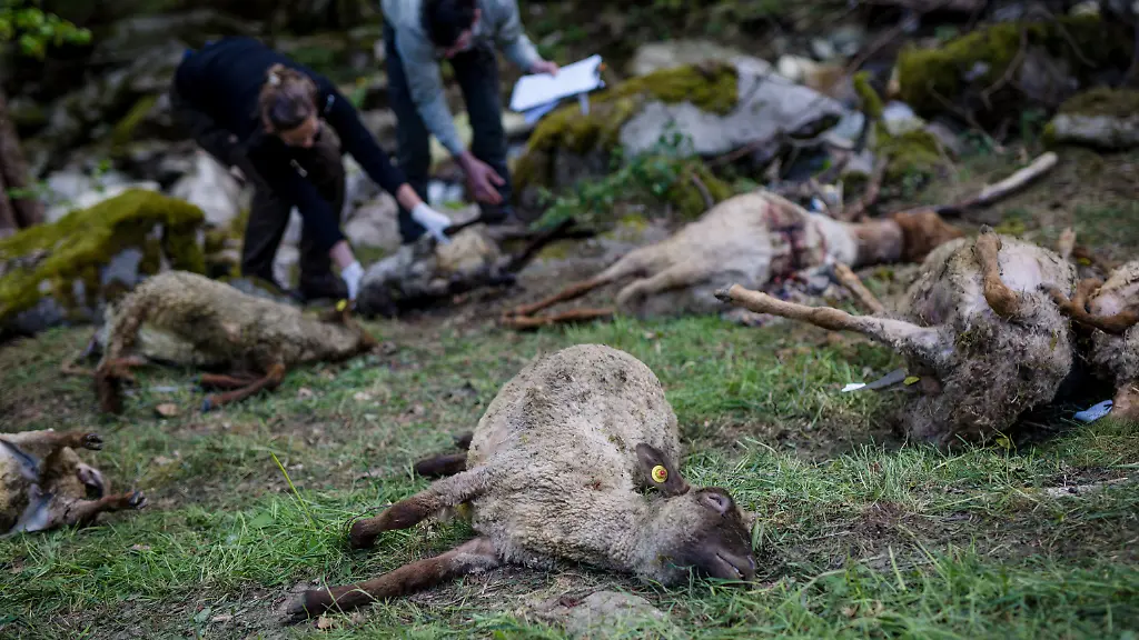 7540095706e549d40bd3e70df6d9f3b9