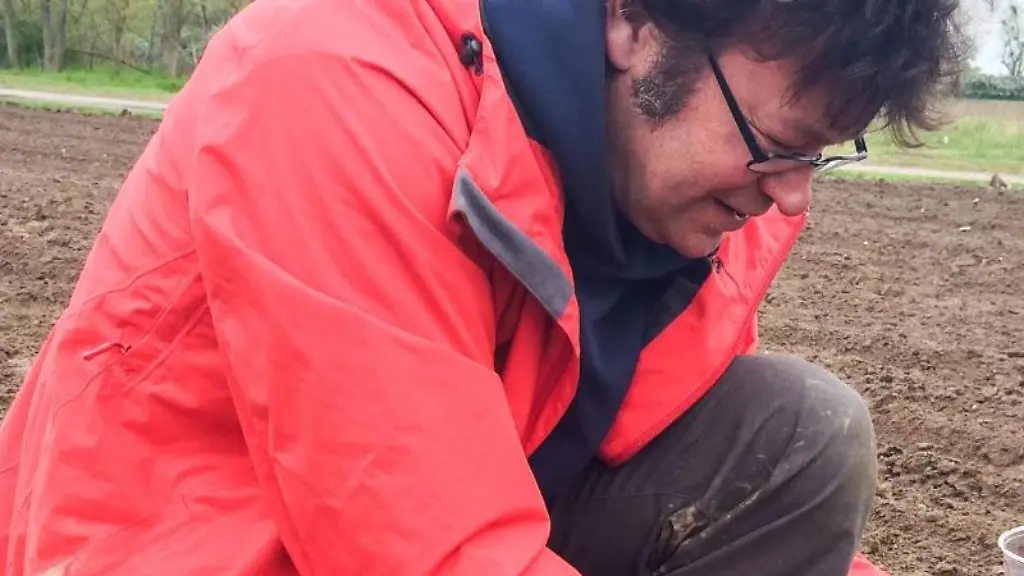 Der-Biologe-Philipp-Gienapp-graebt-auf-einem-Maisfeld-der-Agrargesellschaft-Zinzow