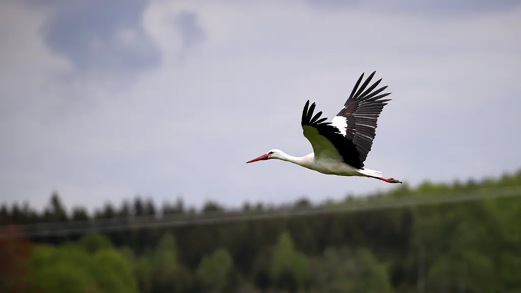 9ecceb96056717f131b27736fd9c4999