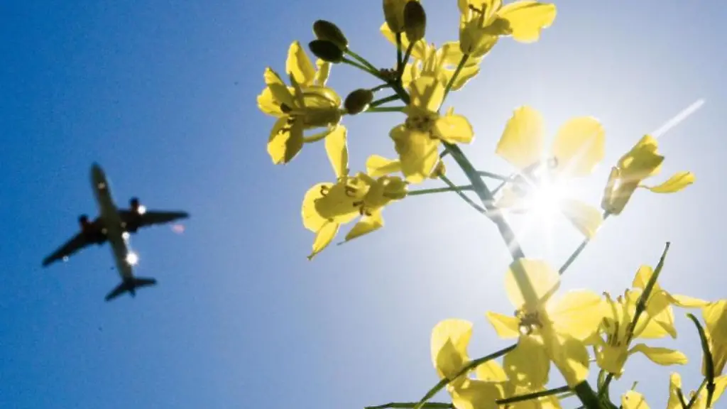 Ein-Passagierflugzeug-fliegt-ueber-ein-Rapsfeld-hinweg