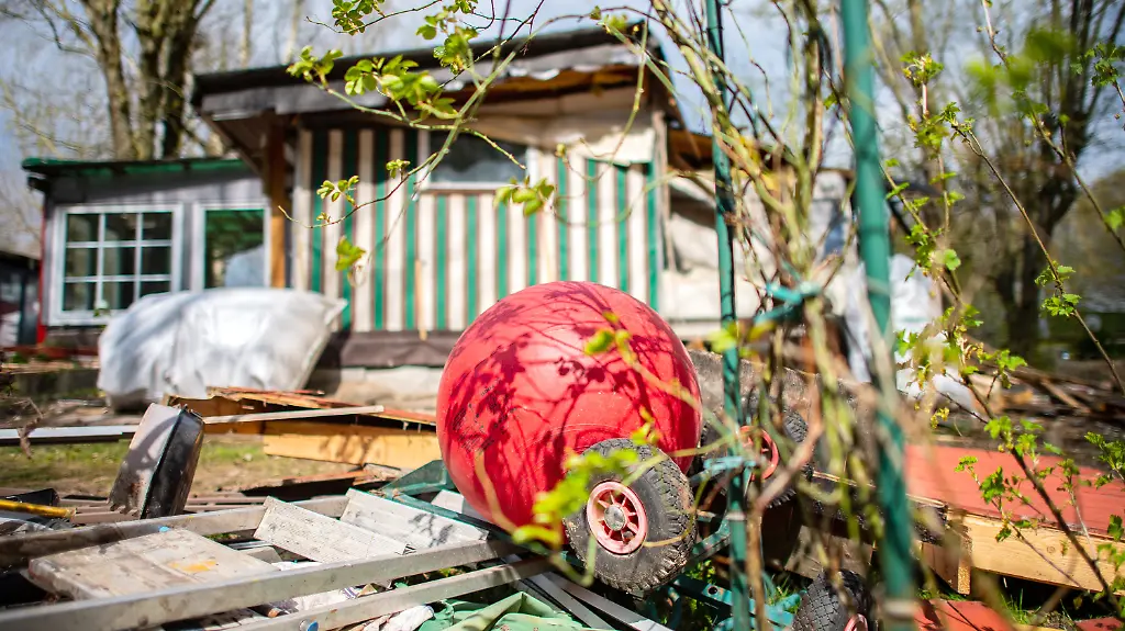 34d8533cc274a8d89d7f19a856ca73b6