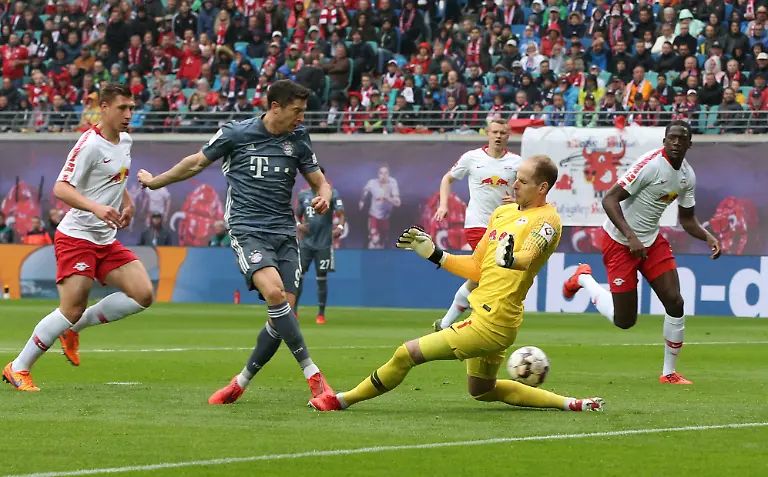 1ca1f83246be6c5d02762699454769c7