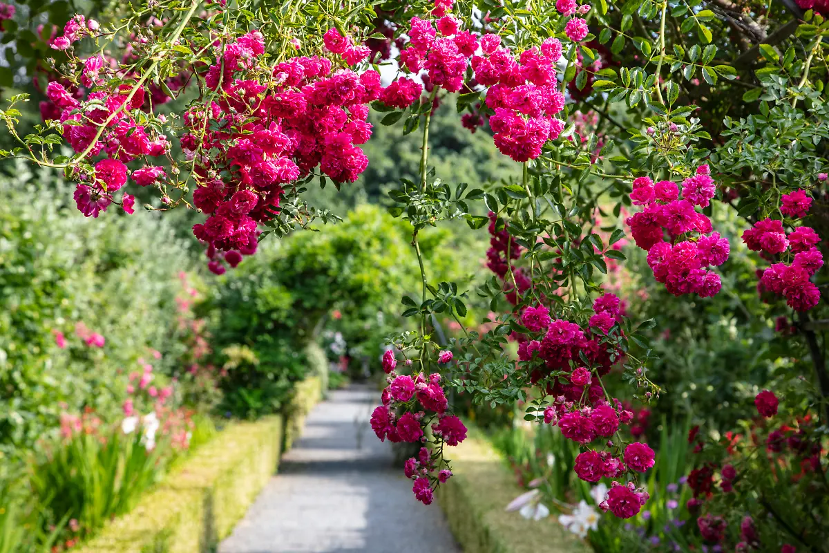 Bild-44-von-50-2018-07-04-023